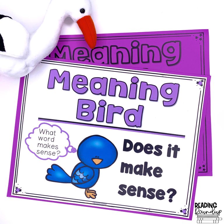 The Secret to Teaching Students How to Decode 8 The Meaning Bird decoding strategy teaches students to also think about what word would make sense.
