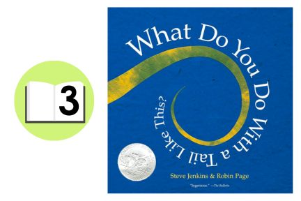 10 Engaging Books for Making Predictions 4 Books for Making Predictions: What Do You Do With a Tail Like This?