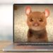 Making Prediction Animation Predicting Activities For Young Readers | The Reading Roundup