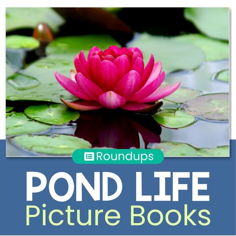 10 Pond Life Picture Books to Read This Spring